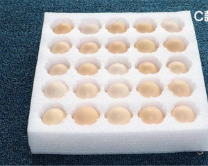 婁底珍珠棉產品-邵陽珍珠棉